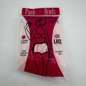 Vintage Ash Brook Panties Briefs Stretch Pink Lace Nylon Satin Panties Underwear